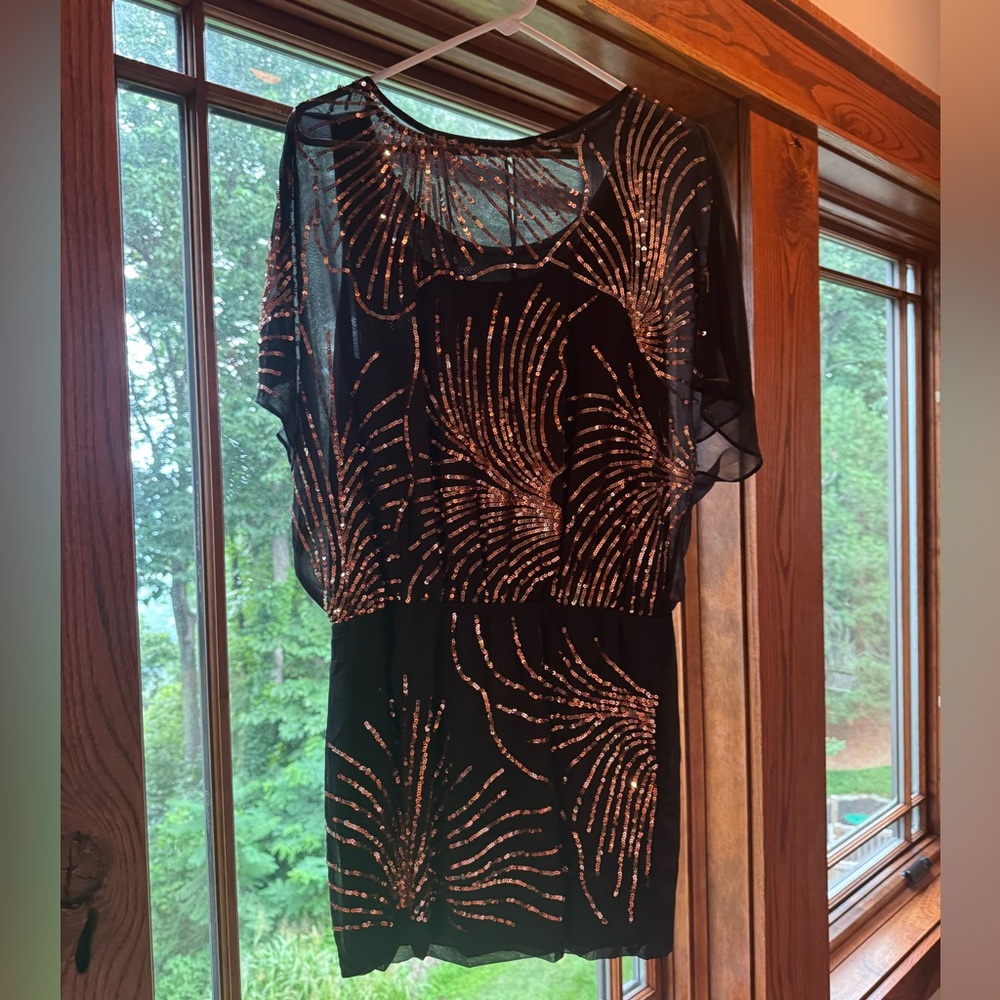 Elegant Black and Gold Women's Dress with slip underneath
